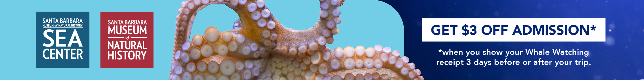 Santa Barbara Sea Center and Museum of Natural History: get $3 off admission when you show your whale watching receipt 3 days before or after your trip.