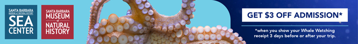 Santa Barbara Sea Center and Museum of Natural History: get $3 off admission when you show your whale watching receipt 3 days before or after your trip.